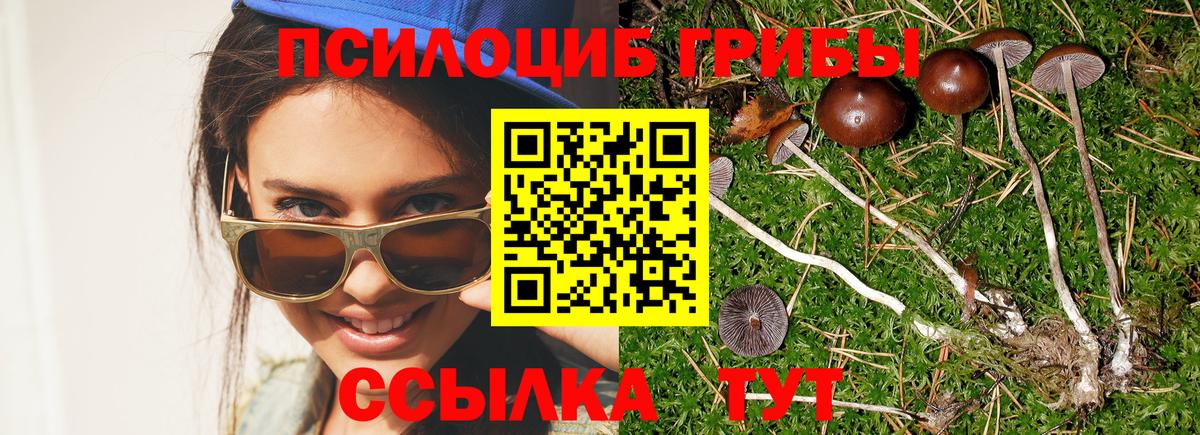 Галлюциногенные грибы мухоморы Дзержинский